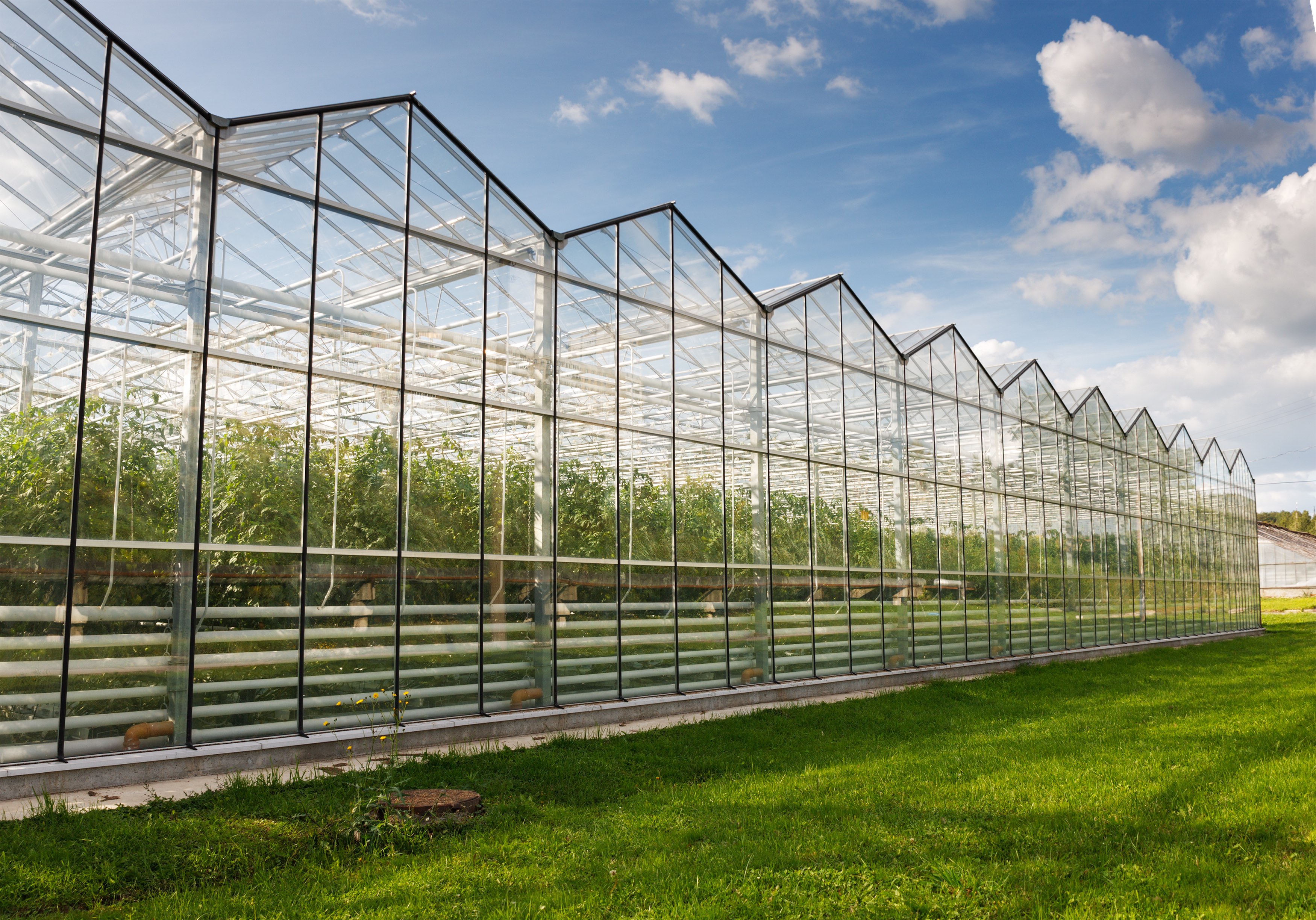 Steel Agricultural Buildings